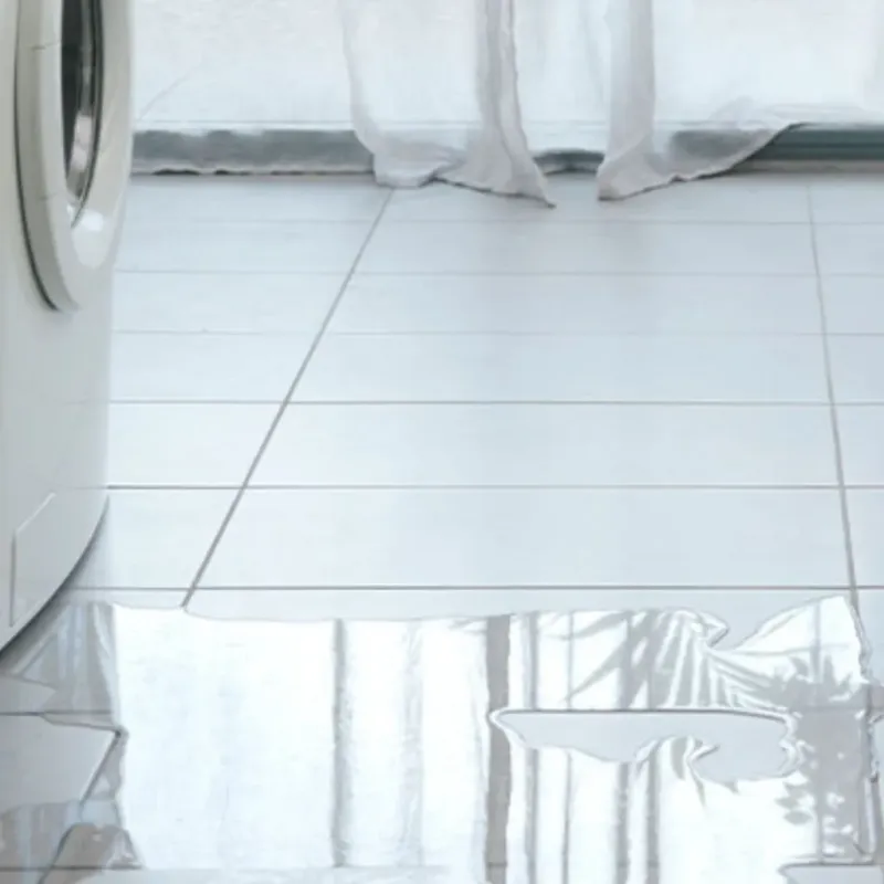 Appliance Leak Cleanup in Ashland, AL