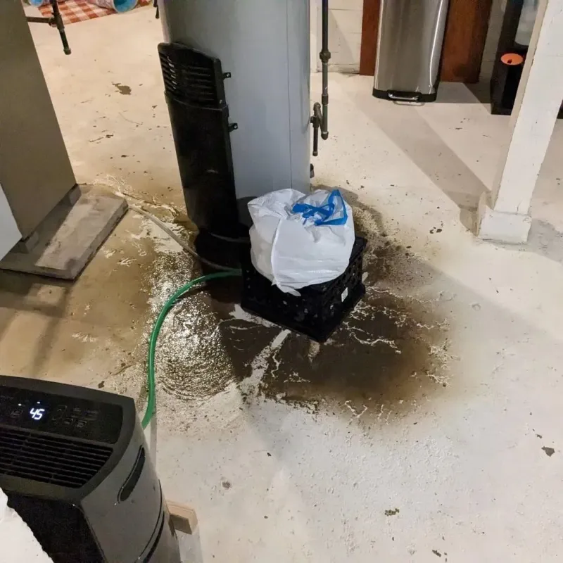 Sewage Backup Cleanup Service in Ashland, AL